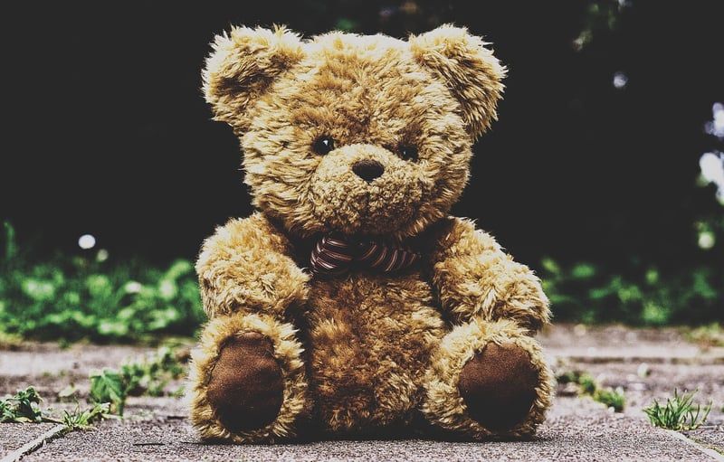 ours en peluche